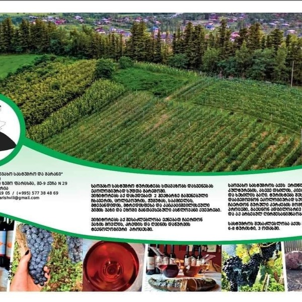 plp_product_/profile/besik-meparishvili-winery?currency=EUR