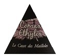 plp_product_/wine/casot-des-mailloles-comax-ethylix-2015?currency=EUR