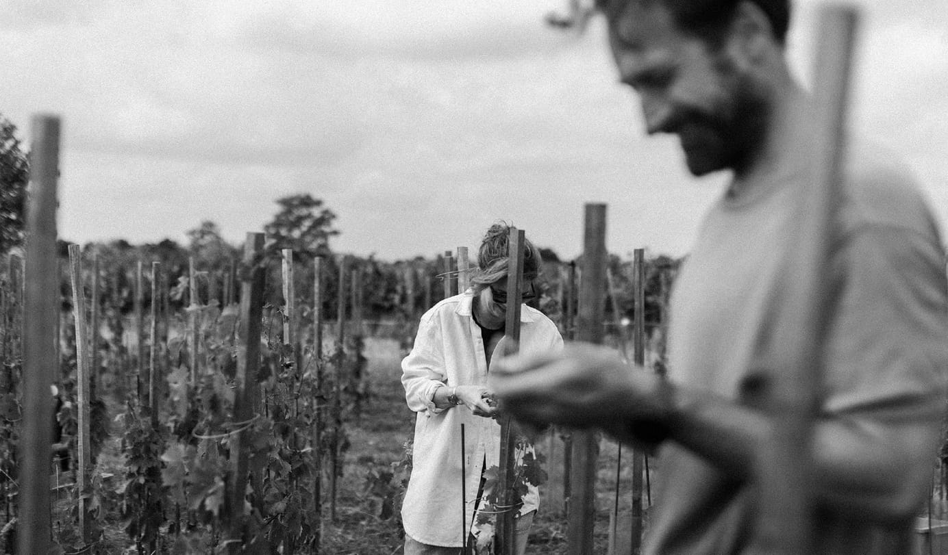 Meet the winemaker: Gut Oggau