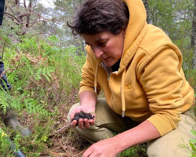 BBC World Service - The Understory: Life in the Soil