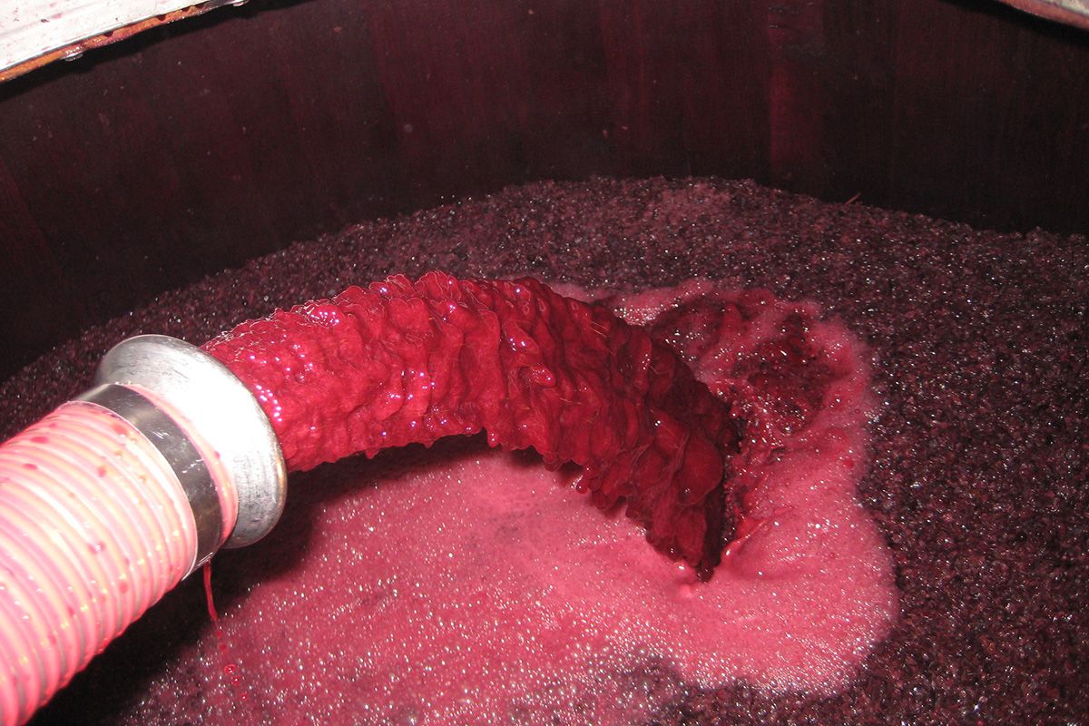 Sulfites in Wine