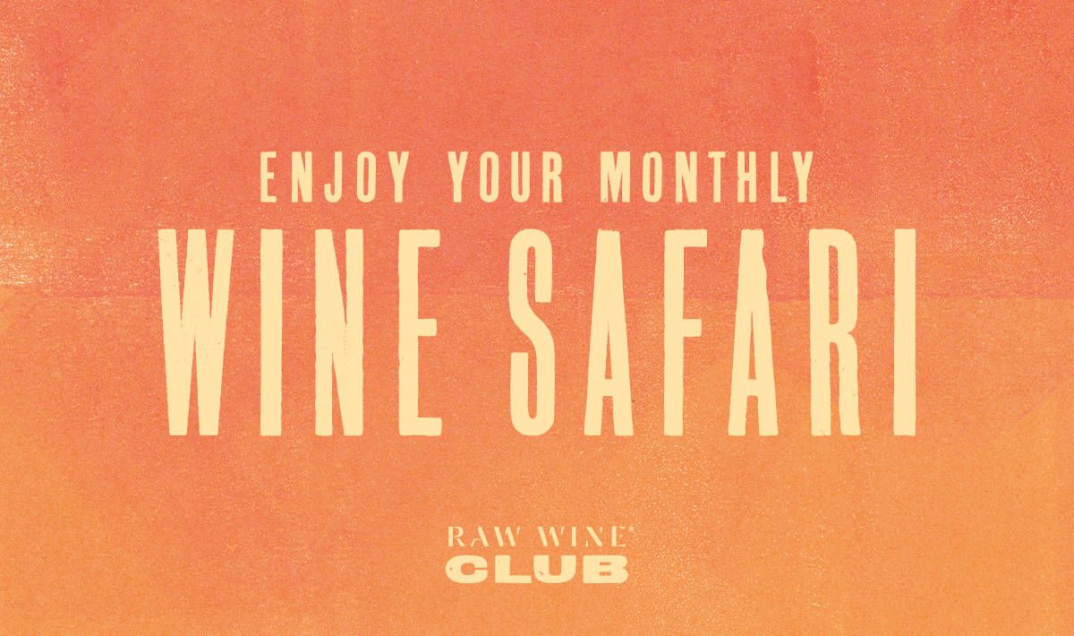 RAW WINE Club - Tasting Notes - December 2023 Selection