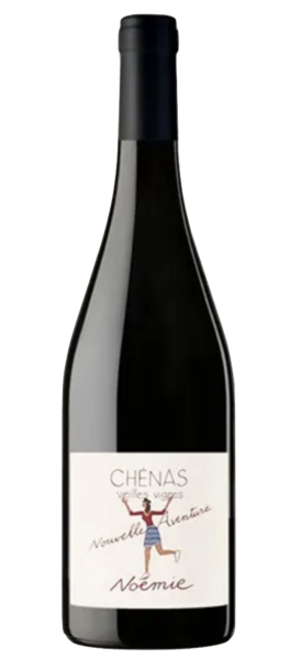 plp_product_/wine/domaine-vionnet-chenas-noemie-2019?currency=EUR